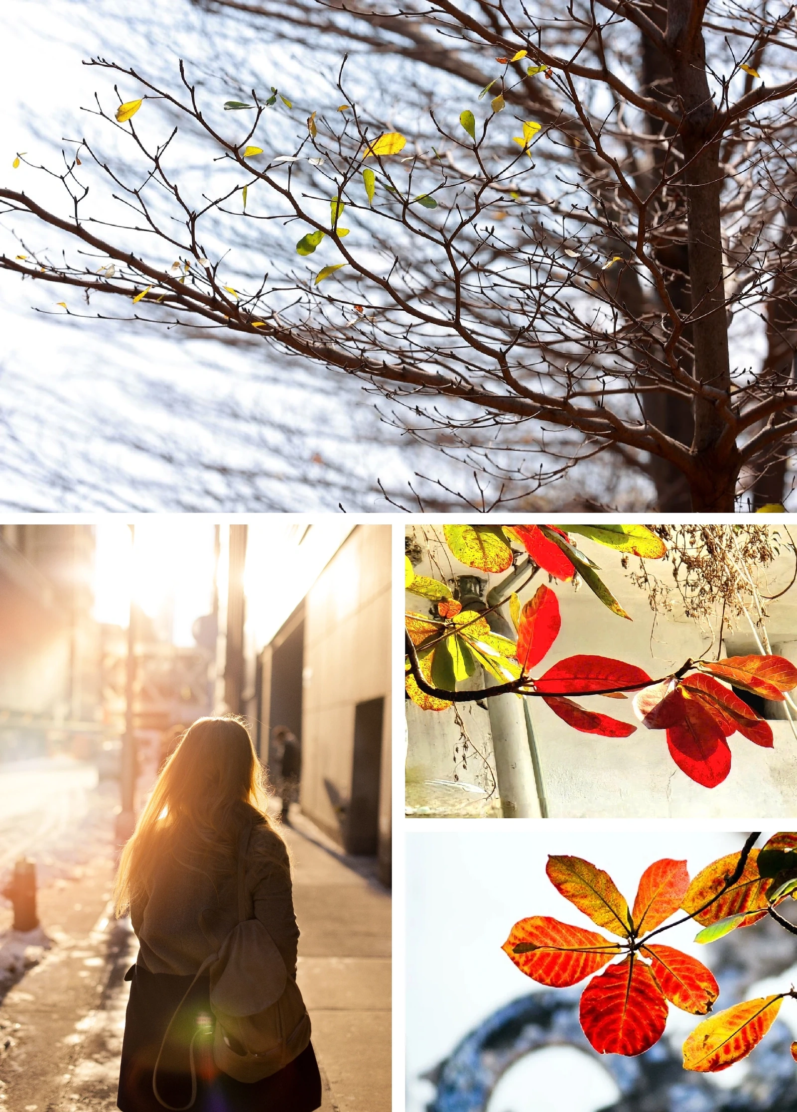 [E-Magazine]: Mùa khép lại những nguồn thương