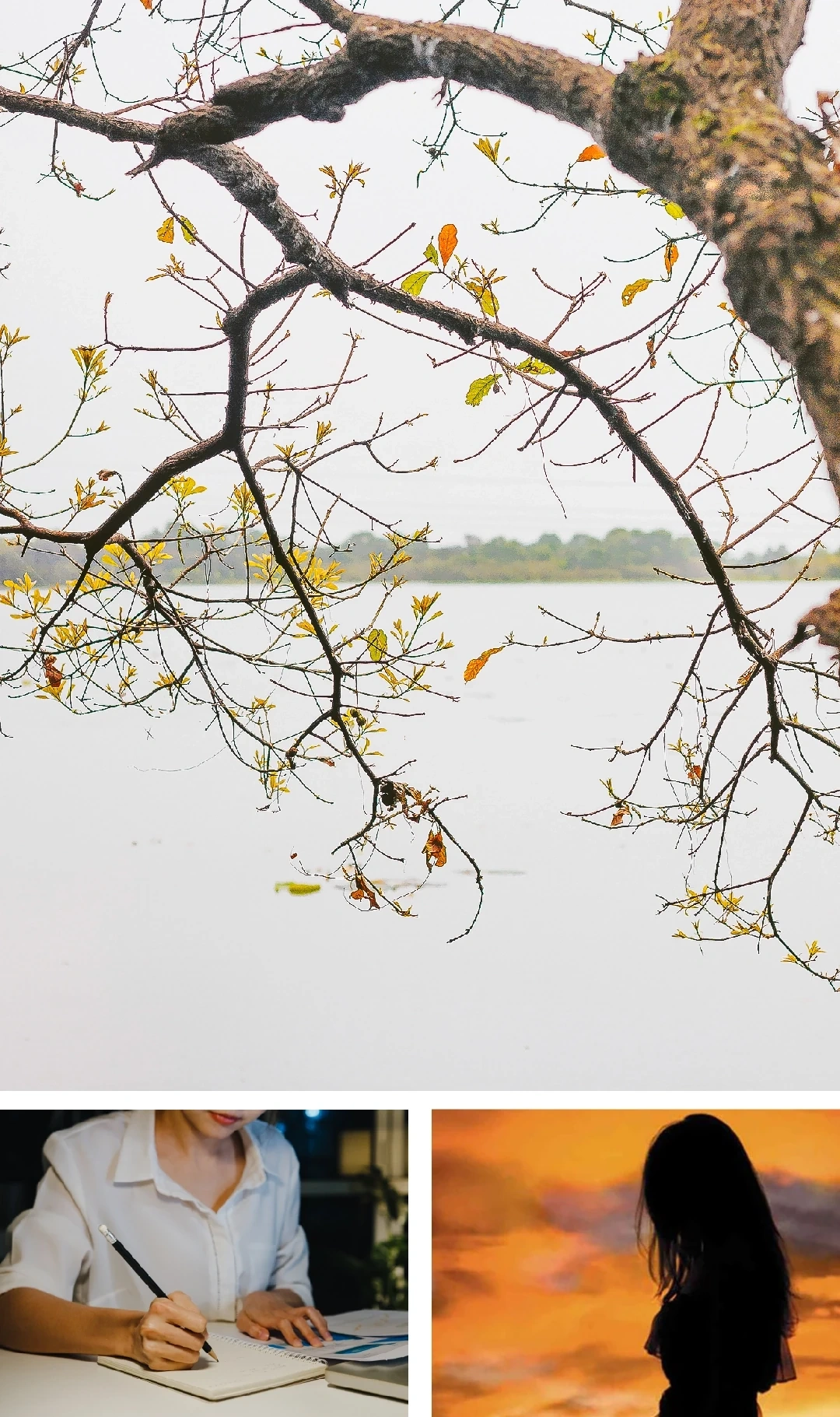 [E-Magazine]: Mùa khép lại những nguồn thương