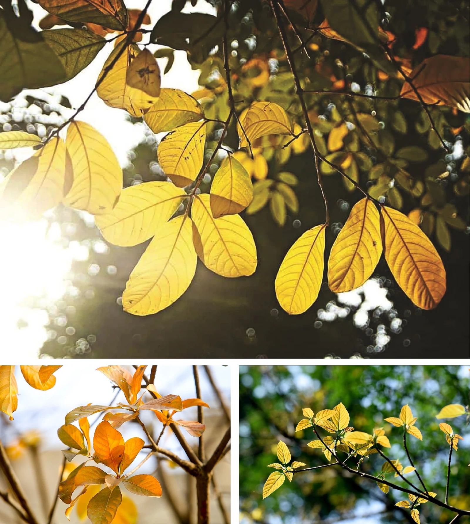 [E-Magazine]: Mùa khép lại những nguồn thương