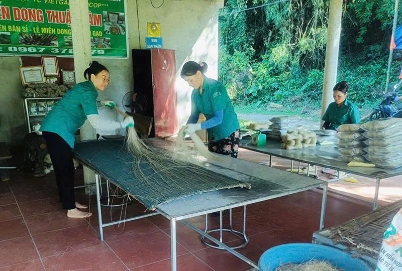 Các HTX đẩy mạnh sản xuất phục vụ thị trường cuối năm