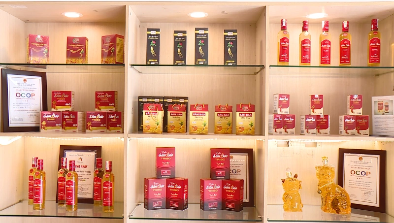 Bảo tồn, phát triển giống cây trồng nguồn gốc bản địa