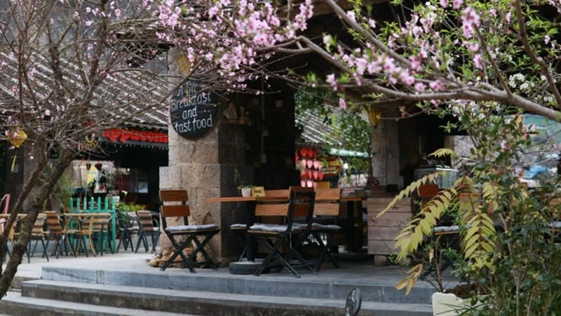 Du lịch Hà Giang mùa Xuân - Thời điểm lý tưởng để cảm nhận trọn vẹn vẻ đẹp vùng cao