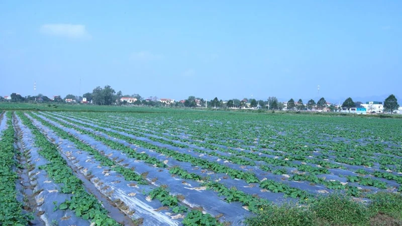 Mở rộng không gian phát triển, “đánh thức” tiềm năng vùng đất Ba Đình