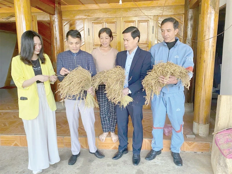 Khẳng định vai trò, vị trí nòng cốt của kinh tế tập thể trong kỷ nguyên phát triển mới