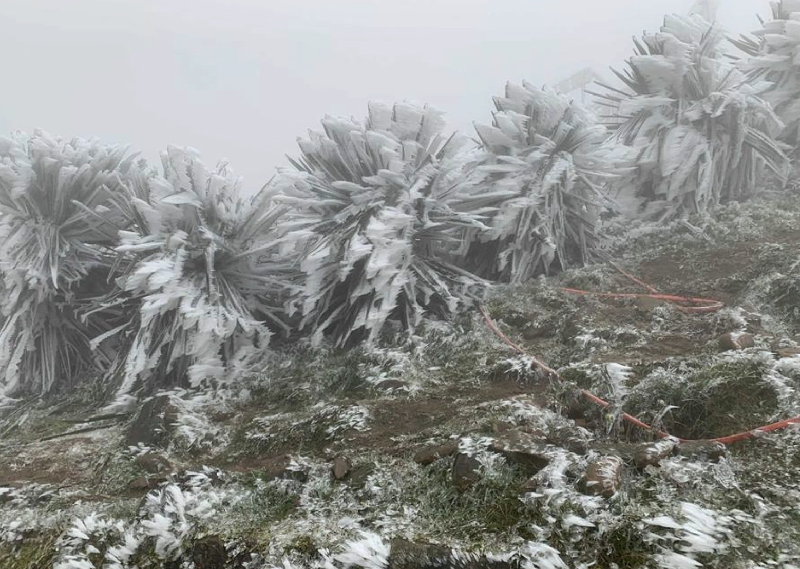Đêm mai (24/12), không khí lạnh ảnh hưởng tới Thanh Hóa