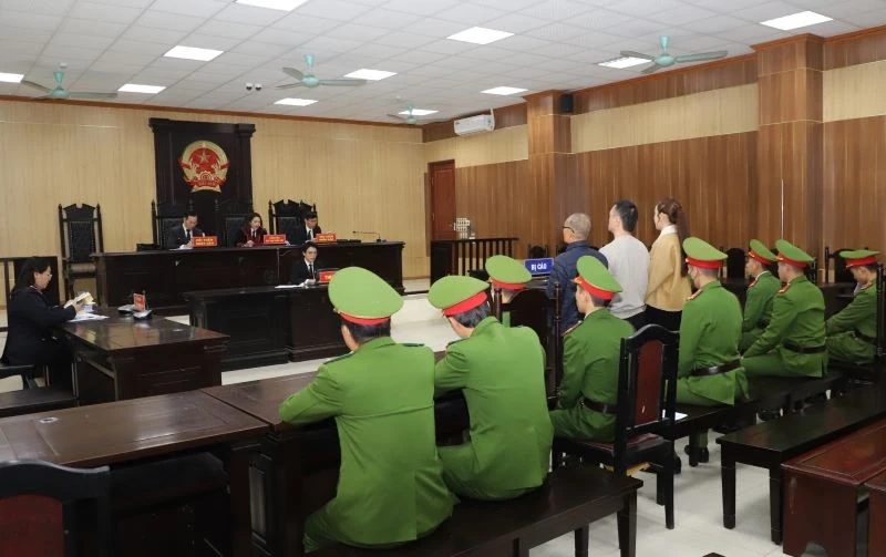 Xét xử Vi “Ngộ” về tội trốn thuế