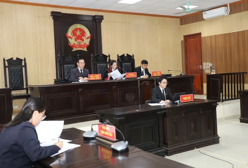 Xét xử Vi “Ngộ” về tội trốn thuế