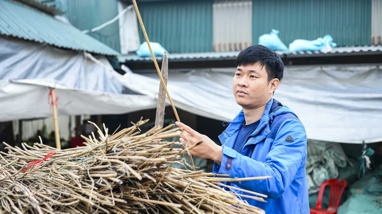 Nhưng khi bắt tay vào làm, Toàn mới thấm thía rằng sản xuất tre nứa ở miền Bắc không hề đơn giản. Không phải cây nứa nào cũng dùng được. Nứa phải trên hai năm tuổi, dóng dài, thẳng, đường kính từ 5 - 15mm mới đảm bảo sản xuất ông hút. Thời tiết miền Bắc nồm ẩm nhiều khiến sản phẩm rất dễ mốc.