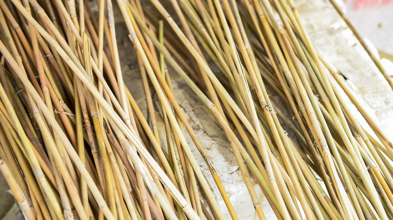 Quy trình sản xuất ống hút thân thiện với mối trường phải qua nhiều công đoạn. Nứa tép sau khi thu mua phải phơi hoàn toàn ngoài tự nhiên từ 3 - 4 tuần để khử diệp lục, lên màu tự nhiên và chống mốc. Nếu hấp sấy nứa khi còn tươi, ống hút sẽ chuyển màu xanh, không đạt yêu cầu của khách hàng xuất khẩu.