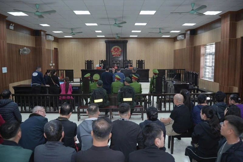 Vi “Ngộ” tiếp tục chịu án về tội đưa hối lộ