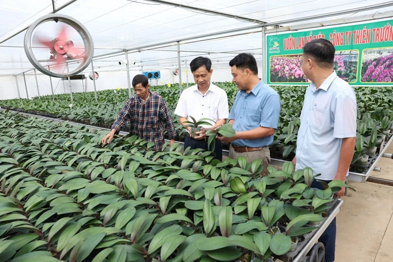 Đẩy mạnh liên kết, đồng hành cùng nông dân phát triển