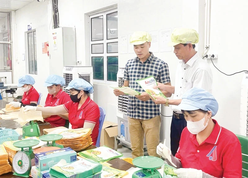 Đẩy mạnh liên kết, đồng hành cùng nông dân phát triển