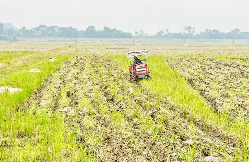 Chuẩn bị các điều kiện sản xuất vụ xuân