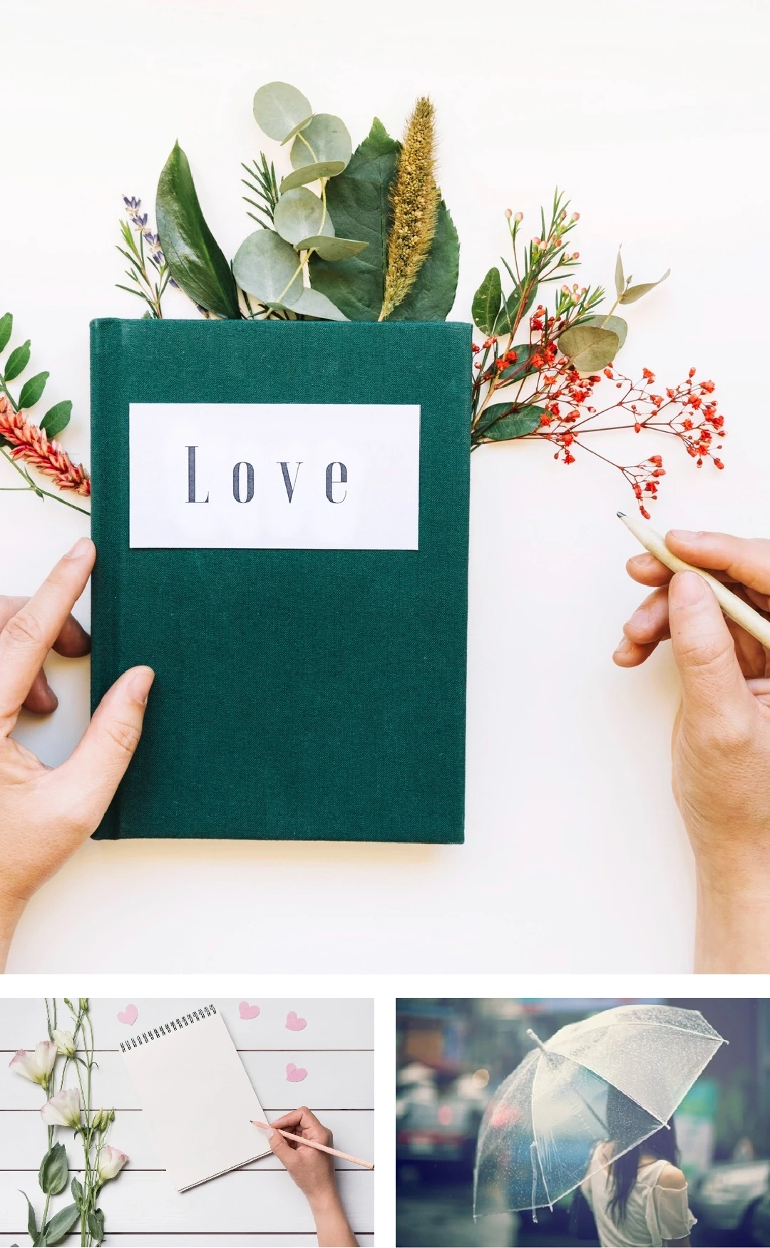 [E-Magazine]: Gói yêu thương khép tròn cánh thiệp