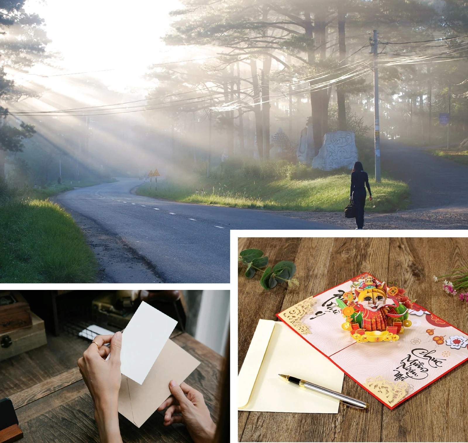 [E-Magazine]: Gói yêu thương khép tròn cánh thiệp