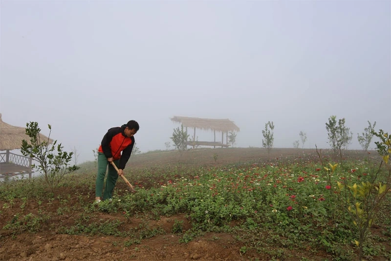 Đồng bào Mông một lòng theo Đảng - Khát vọng đổi đời từ núi cao (Bài 2): Những “hạt giống đỏ” phía sau dốc “cổng trời”