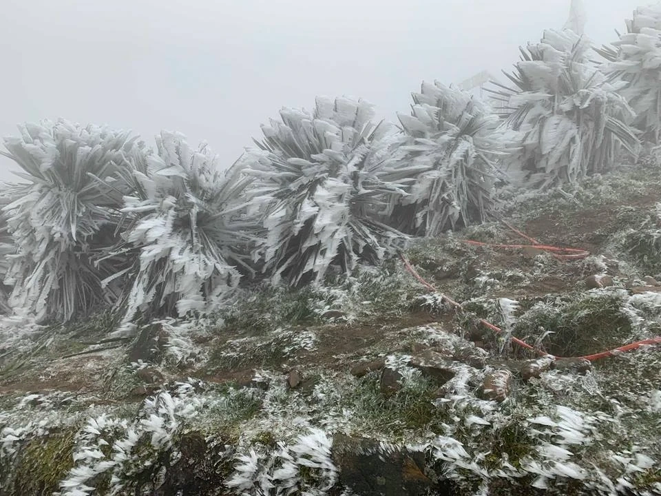 Không khí lạnh tiếp tục mở rộng khu vực ảnh hưởng, vùng núi Thanh Hóa rét hại