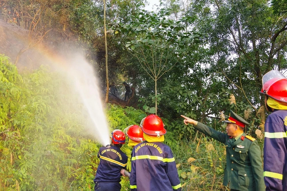 Kịp thời dập tắt đám cháy rừng trên địa bàn phường Quang Trung