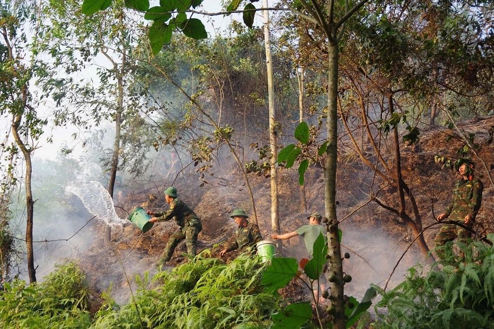 Kịp thời dập tắt đám cháy rừng trên địa bàn phường Quang Trung