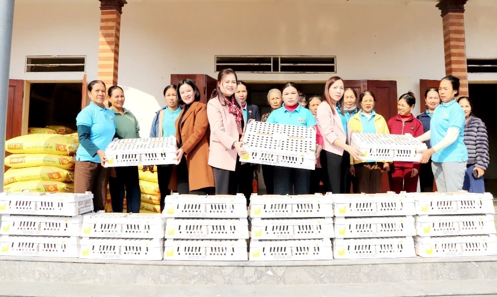 Ra mắt 4 mô hình kinh tế Tổ hợp tác do phụ nữ tham gia quản lý