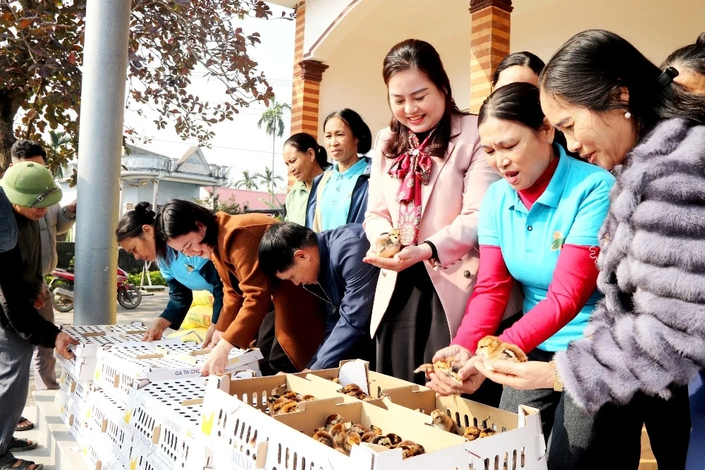 Ra mắt 4 mô hình kinh tế Tổ hợp tác do phụ nữ tham gia quản lý