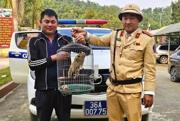 Thả một cá thể cu li quý hiếm về môi trường tự nhiên