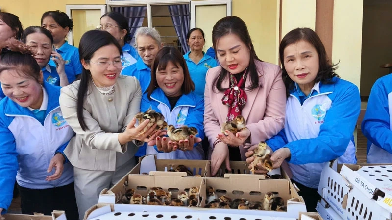 Ra mắt 4 mô hình kinh tế Tổ hợp tác do phụ nữ tham gia quản lý