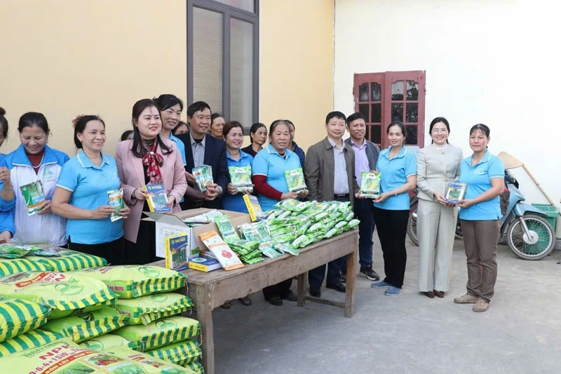 Ra mắt 4 mô hình kinh tế Tổ hợp tác do phụ nữ tham gia quản lý