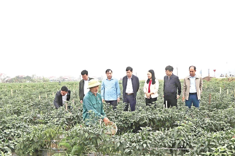 Lựa chọn người tài, đức - nhiệm vụ “then chốt” của then chốt