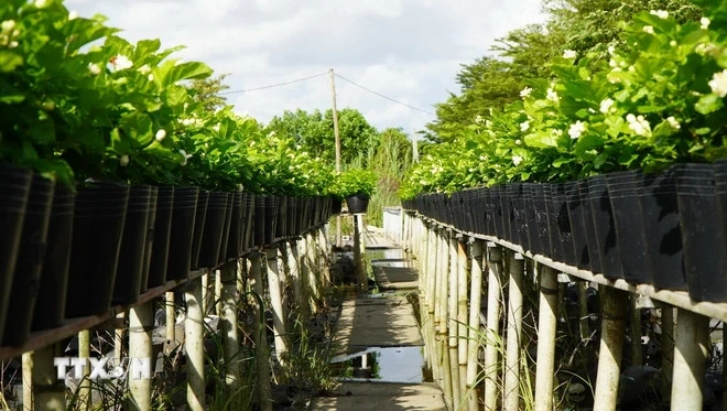 Đại hội XIV của Đảng: Kỳ vọng vào các định hướng chiến lược và quyết sách lớn