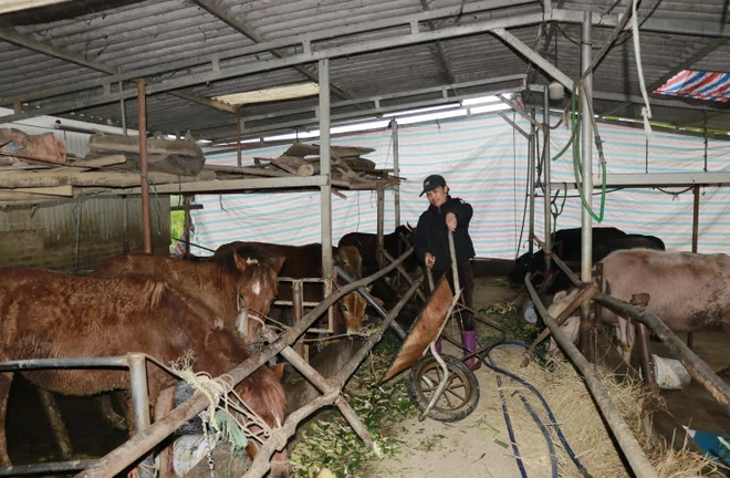 Đại hội Đảng: Kỳ vọng mới về sự phát triển của vùng biên giới, dân tộc thiểu số