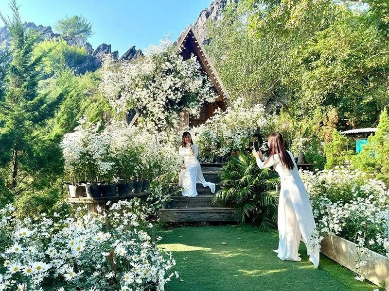 Trải nghiệm du lịch sinh thái qua những vùng hoa