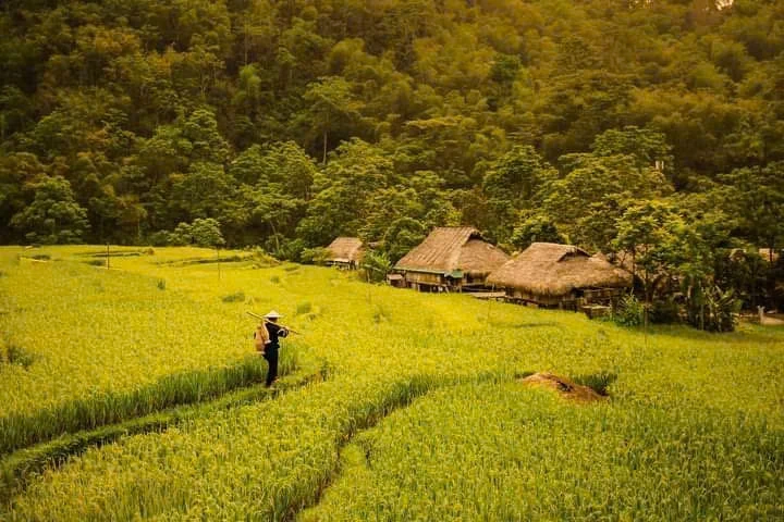 Đồng bào vùng cao xứ Thanh hướng về Đại hội