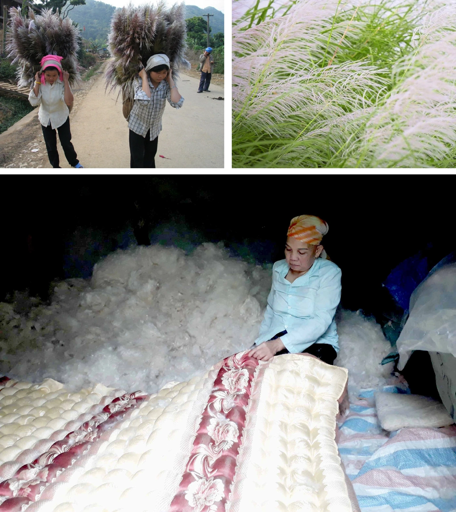 [E-Magazine]: Cuối đông, thêm một giấc nồng...