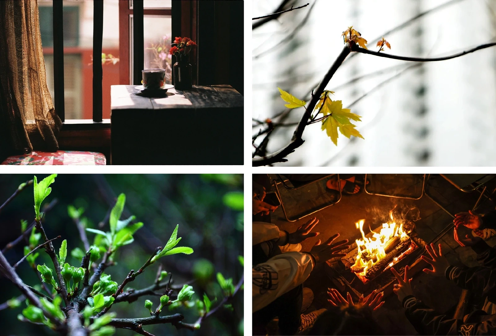 [E-Magazine]: Cuối đông, thêm một giấc nồng...