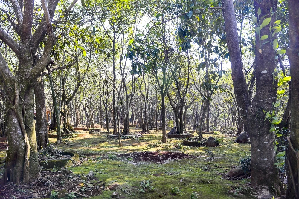 Hiện trạng di tích Địa điểm khởi nghĩa Bà Triệu