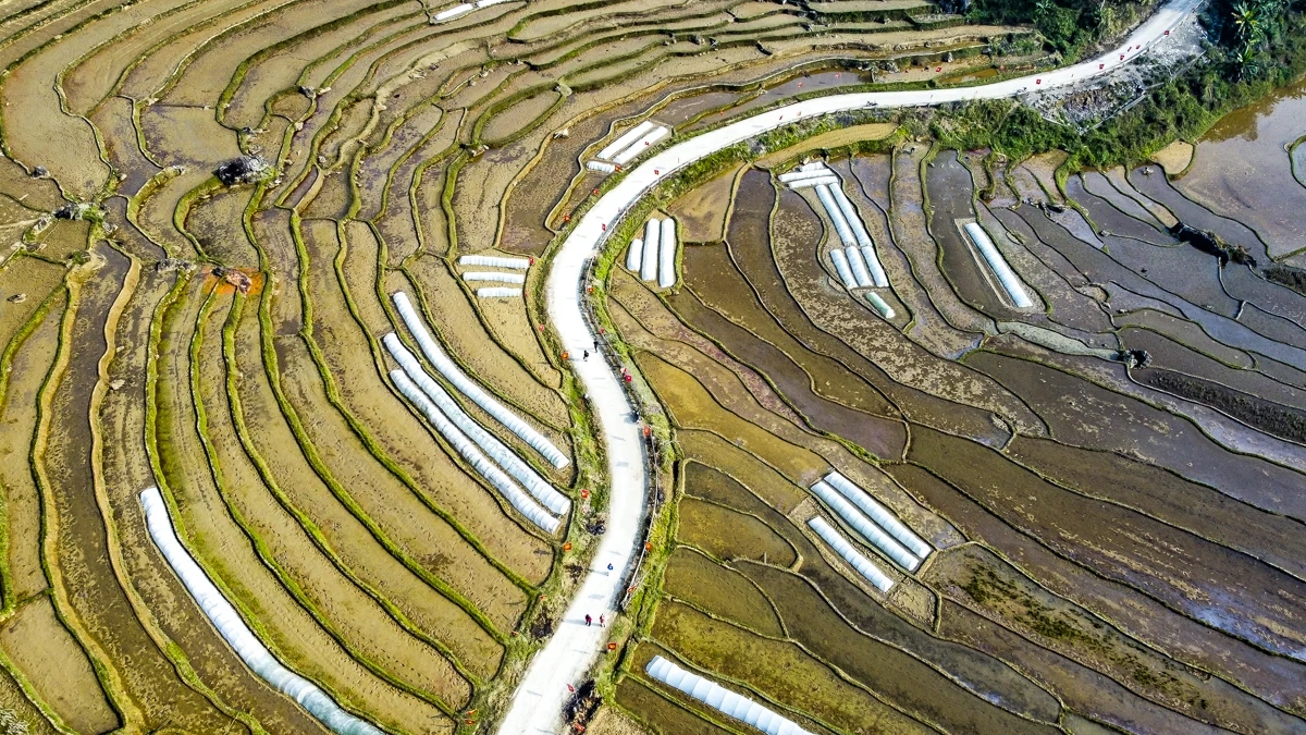 Chương trình hành động thực hiện mục tiêu tăng trưởng kinh tế “2 con số” giai đoạn 2026-2030 và tiếp tục tăng trưởng nhanh, bền vững đến năm 2045