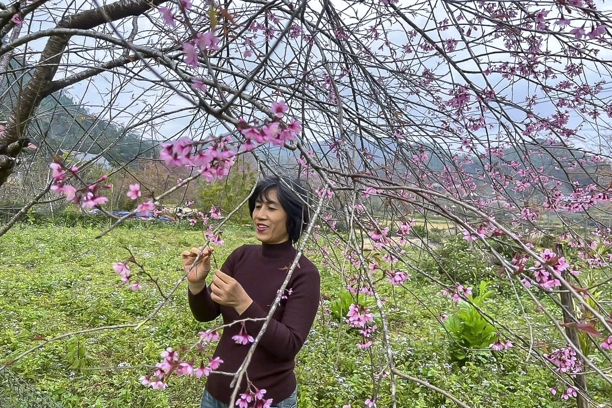 Sắc xuân sớm ở Son - Bá - Mười