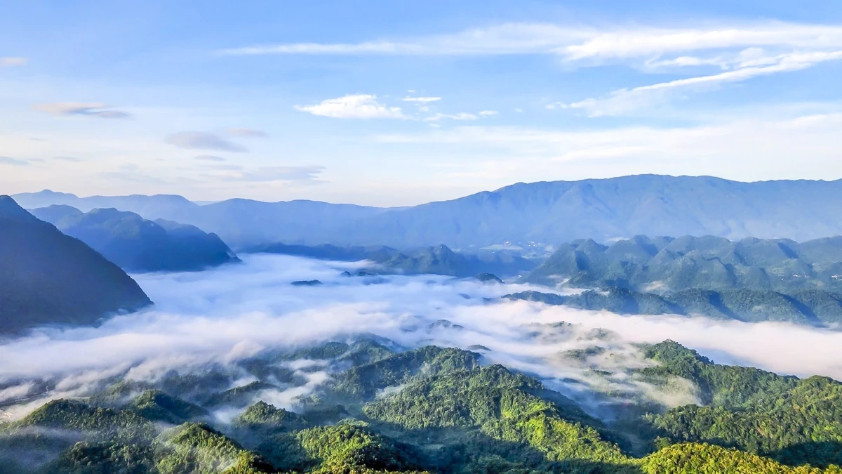 Sắc xuân sớm ở Son - Bá - Mười