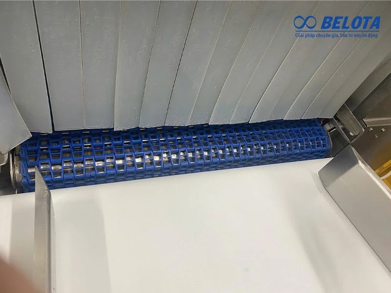 Băng tải nhựa: Giải pháp bền bỉ cho môi trường sản xuất liên tục