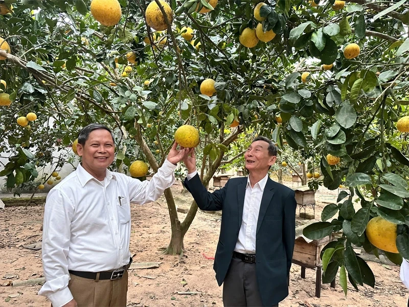 Khai mở tầm nhìn và khát vọng phát triển