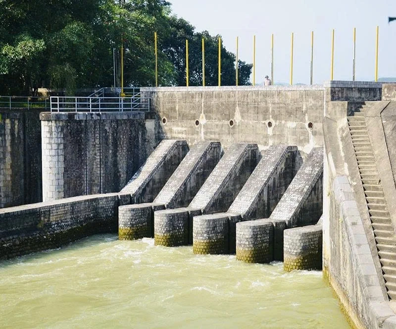 Công ty TNHH MTV Sông Chu: Thi đua lao động sáng tạo cho những cánh đồng bội thu