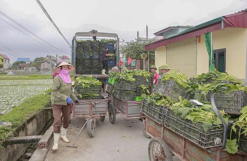 Thúc đẩy các chuỗi liên kết sản xuất, tiêu thụ sản phẩm