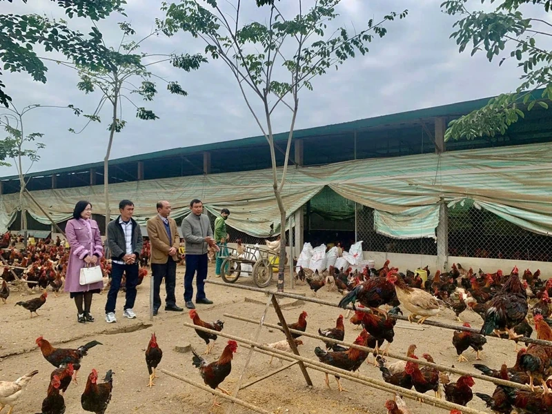 “Bệ đỡ” giúp nông dân vươn lên làm giàu