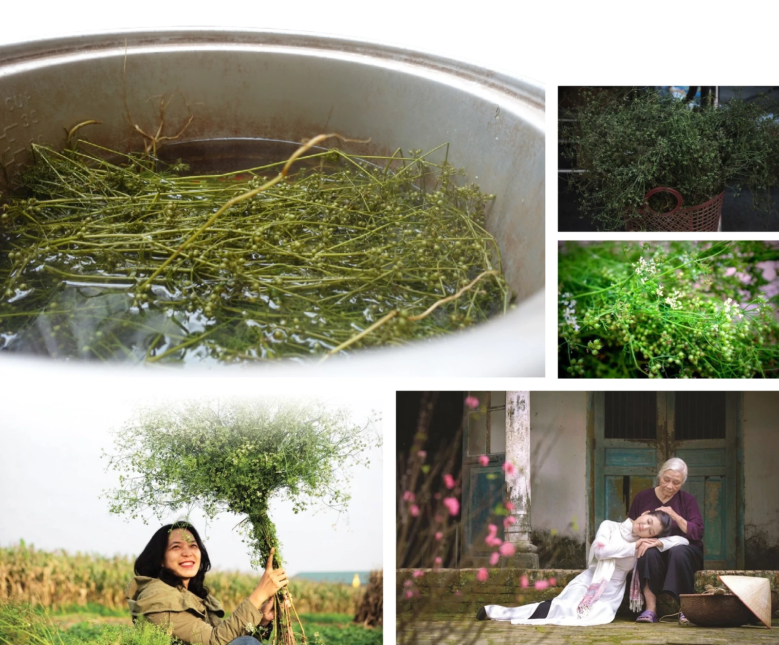 [E-Magazine]: Hương mùi mãi “trinh nguyên”...