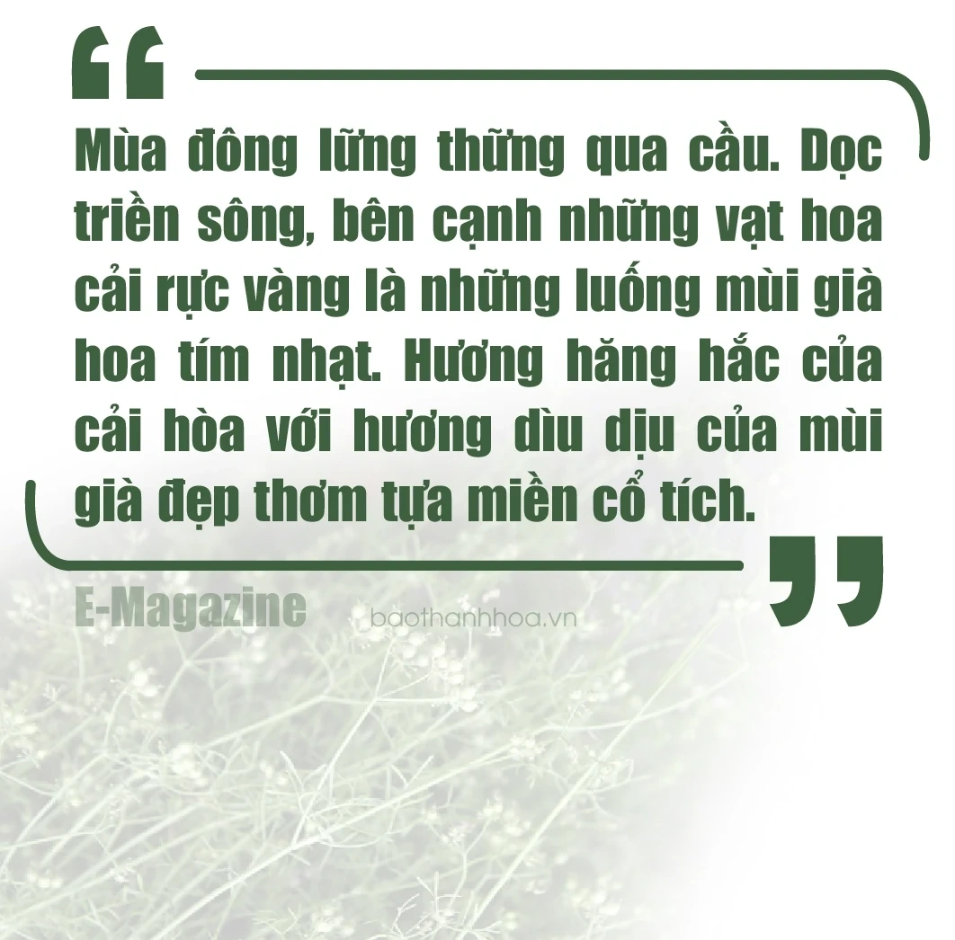 [E-Magazine]: Hương mùi mãi “trinh nguyên”...