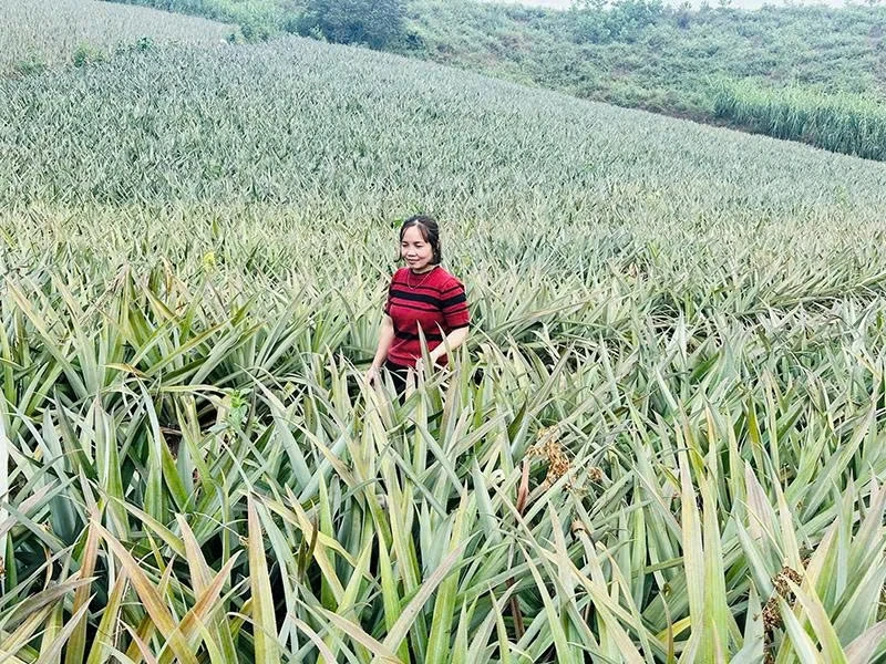 Agribank Thanh Hóa đầu tư nguồn vốn phát triển nông nghiệp, nông thôn