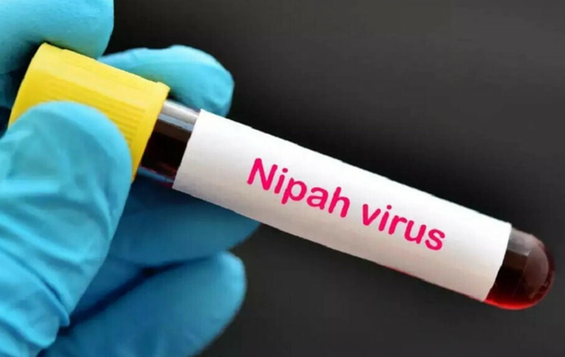 Bộ Y tế thông tin về dịch bệnh do virus Nipah và các biện pháp phòng chống