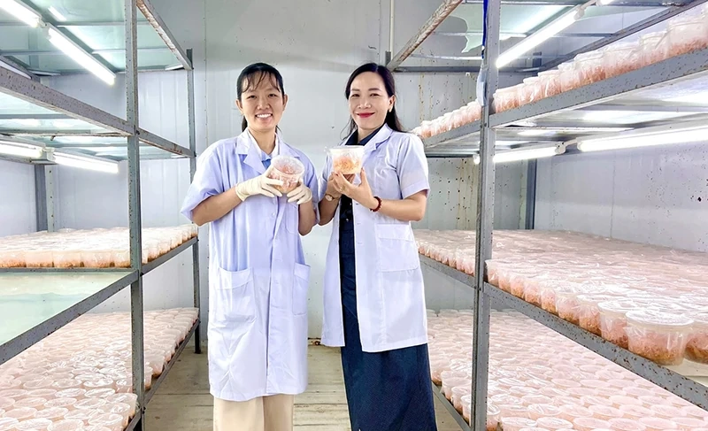 Gieo xanh tăng trưởng, khép vòng tuần hoàn