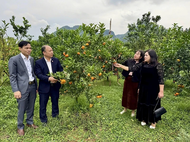 Gieo xanh tăng trưởng, khép vòng tuần hoàn